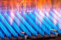 Saverley Green gas fired boilers